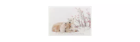 Weihnachtskarte Eisbären Familie