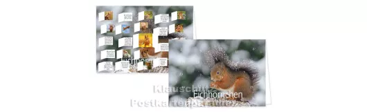 Adventskalender Doppelkarte - Eichhörnchen