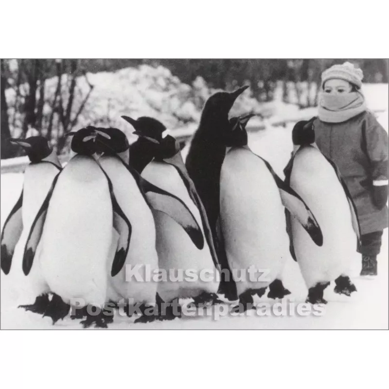 Kind mit Pinguinen | Fotokarte