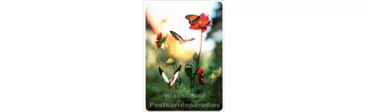 Frühlingserwachen - Blumen Postkarte