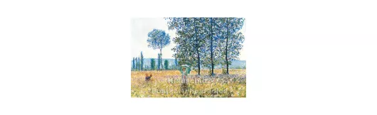 Claude Monet - Felder im Frühling | Kunstkarte