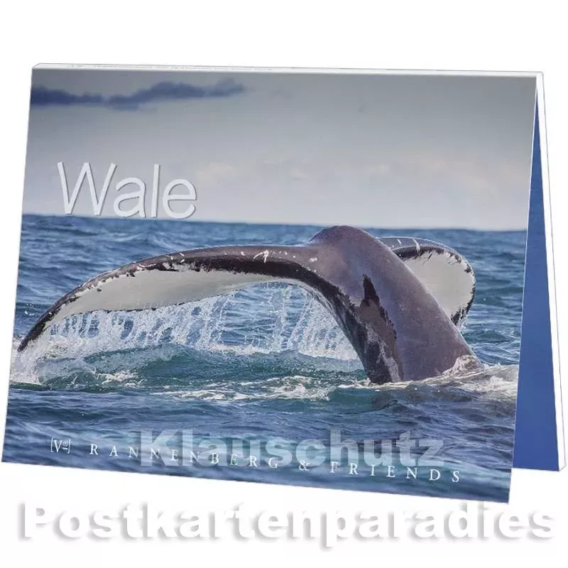 Postkartenbuch | Wale