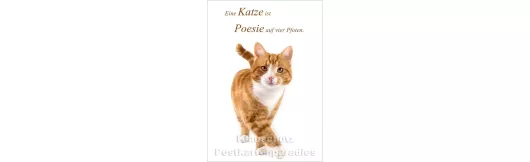 Katze Poesie -  Postkarte