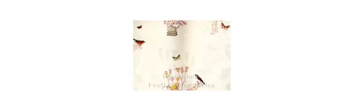 Doppelkarte zum Geburtstag mit Vögeln (Innenteil)
