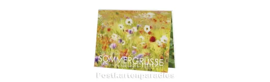 Postkartenbuch Sommergrüße Titel