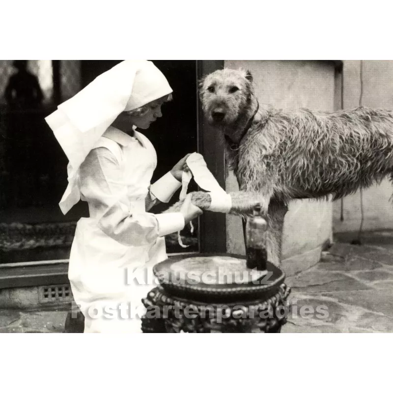 Foto Postkarte - Krankenschwester verarztet Hund