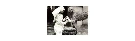 Foto Postkarte s/w | Hund und Krankenschwester