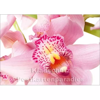 Blumen Postkarten Sparset - Motiv: orchidee