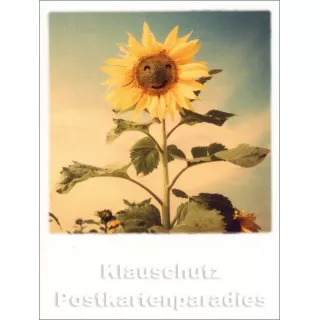 Mini Doppelkarte Polacard (6,5 x 8,5) mit Sonnenblume