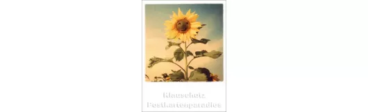 Mini Polacard Doppelkarte (6,5 x 8,5 cm) - Sonnenblume