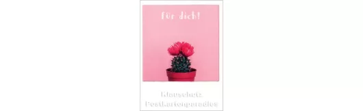 Mini Polacard Doppelkarte (6,5 x 8,5 cm) - Kaktus pink