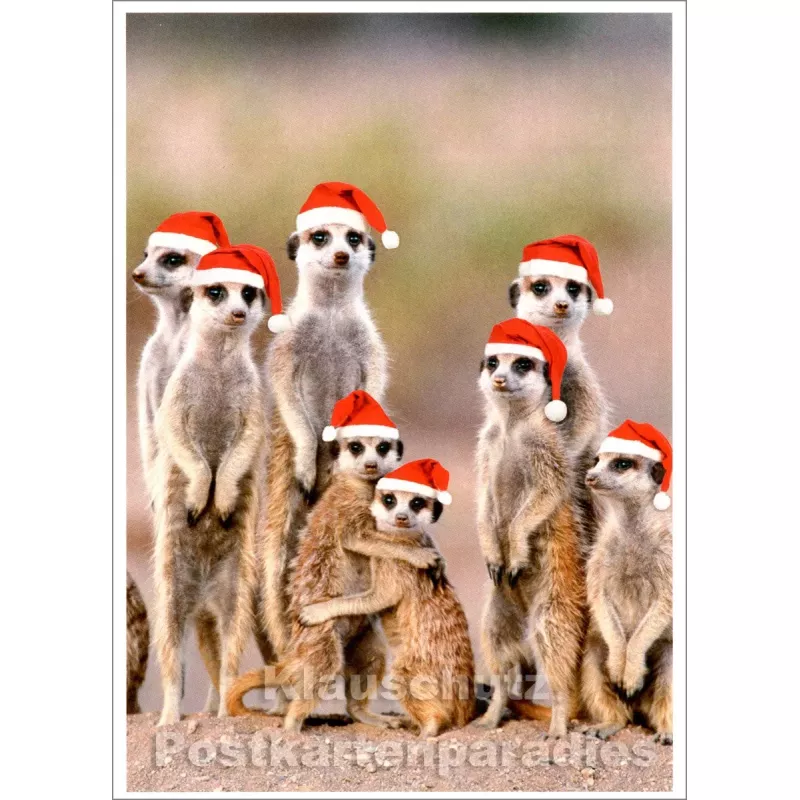 SkoKo Postkarte - Weihnachten bei Familie Erdmännchen
