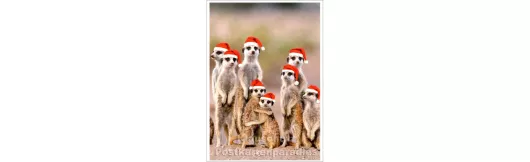 Postkarte - Weihnachten bei Familie Erdmännchen