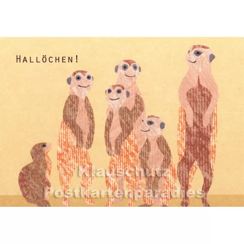 Holzschliffpappe Postkarten von Blankensteyn | Hallöchen! Erdmännchen