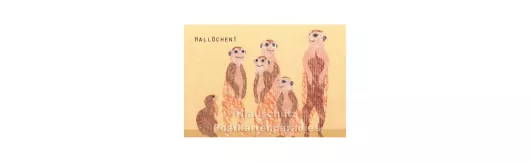 Holzschliffpappe Postkarten von Blankensteyn | Hallöchen! Erdmännchen