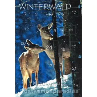 Adventskalender Doppelkarte - Winterwald