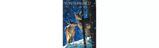 Adventskalender Doppelkarte - Winterwald