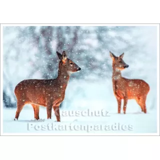 Winter Postkarte von Rannenberg & Friends | Rehe im Schnee