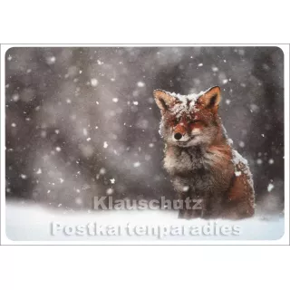 SKOKO Postkarte Winter - Fuchs im Schnee