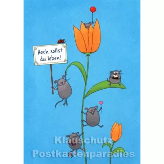 SkoKo Geburtstagskarte mit Mäusen - Hoch sollst du leben!