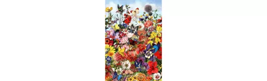 Doppelkarte mit Blumen und Schmetterlingen
