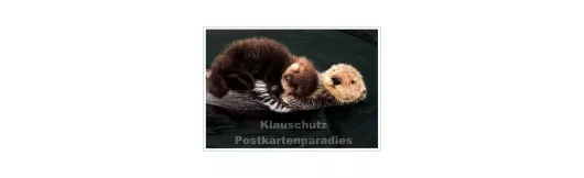 Kuschelzeit - SkoKo Tier Postkarte