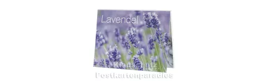 Rannenberg Postkartenbuch | Lavendel