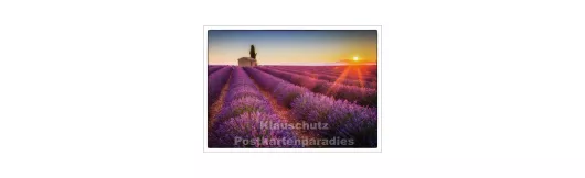 Lavendelfeld - Postkartenparadies Postkarte