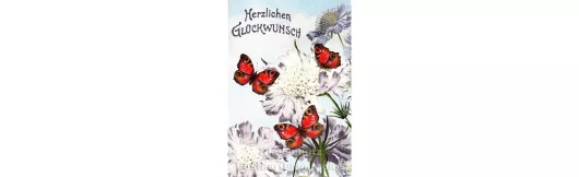 Glückwunsch Doppelkarte - Blumen und Schmetterlingen