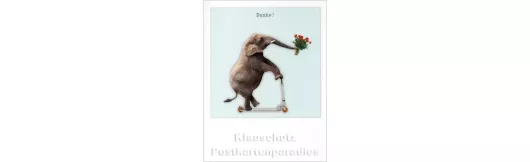 Pola Doppelcard | Elefant - Danke