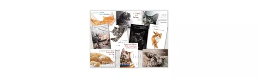 Set Katzen Poesie | 10 Postkarten