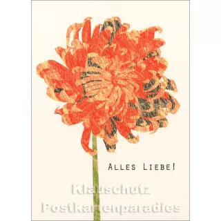 Holzschliffpappe Postkarte von Studio Blankensteyn | Blume - Alles Liebe!