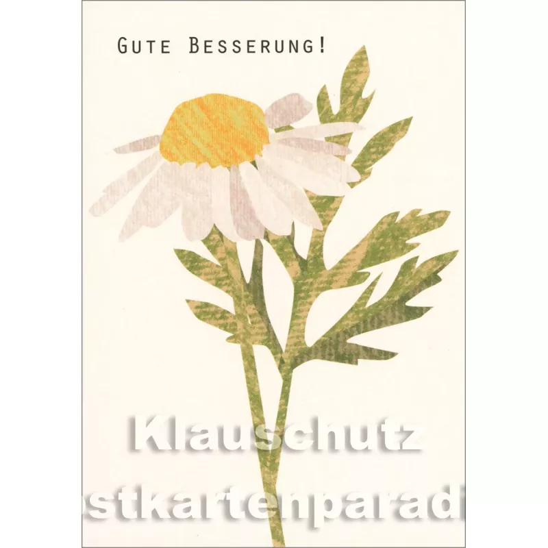 Holzschliffpappe Postkarte von Studio Blankensteyn | Gute Besserung - Kamille