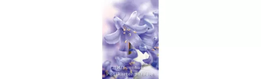 Hasenglöckchen - Blumen Postkarte