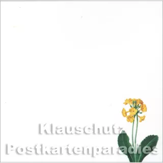 Primeln und Orchidee | Rannenberg Klebezettel - Innenteil