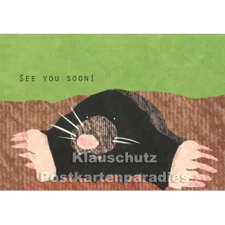 Holzschliffpappe Postkarten von Studio Blankensteyn | Maulwurf - See you soon