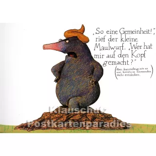 Kinderbuch 'Vom kleinen Maulwurf ...' von Wolf Erlbruch aus dem Peter-Hammer-Verlag - Innenteil 2