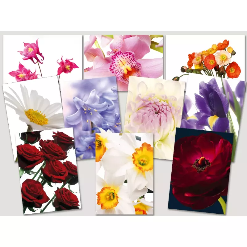 Postkarten Sparset vom Postkartenparadies mit 10 Karten - Blumen 2