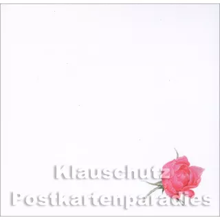 Rosen aus dem Nassau Florilegium | Rannenberg Klebezettel - Innenteil