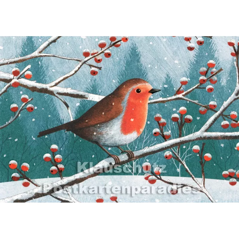 Rotkehlchen im Winter auf Ast sitzend - SkoKo Grafik Postkarte