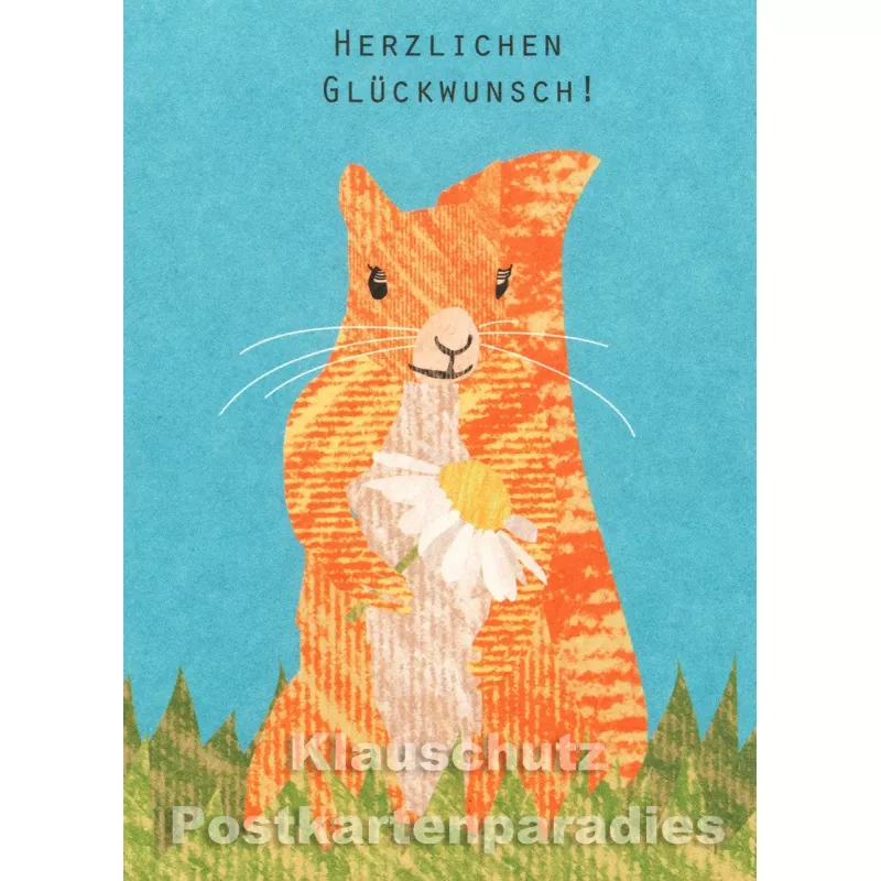 Holzschliffpappe Postkarte von Studio Blankensteyn | Eichhörnchen - Herzlichen Glückwunsch