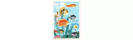Fische - Tausendschön Retro Glitterkarte