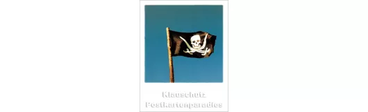 Piratenflagge | Taurus Polacards