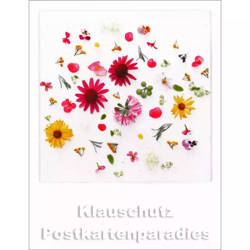 Mini Polacard von Taurus mit Blumen im Format 70 x 92 mm | Blüten Konfetti