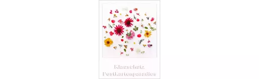 Blüten Konfetti | Mini Polacard 70x92 mm