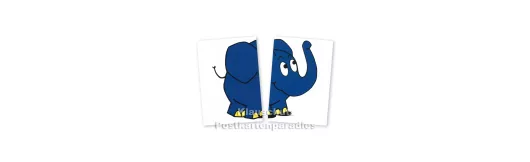 Der Elefant - Starschnitt 1 + 2 | 2 Karten
