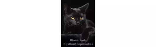 Schwarze Katze - Postkartenparadies Postkarte