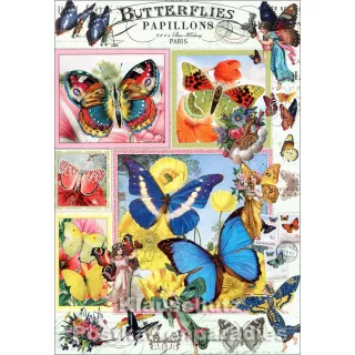 Doppelkarte mit Schmetterlingen - Edition Tausendschön