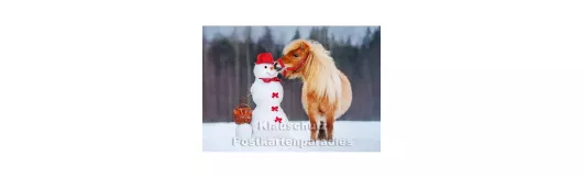 Pony und Schneemann | Winter Fotokarte