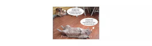 Hund und Katz - Inkognito Postkarte